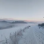 Lena Im Sauerland Direkt Am Hennesee 度假居 *