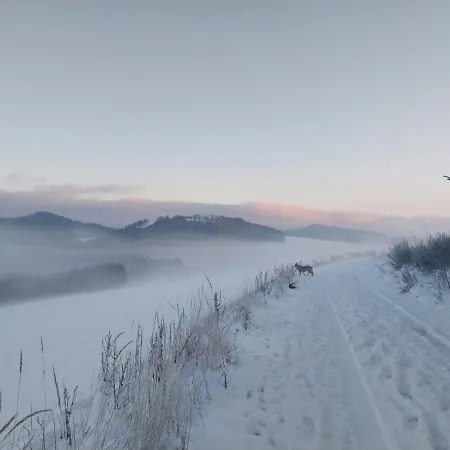 Lena Im Sauerland Direkt Am Hennesee Feriehus *