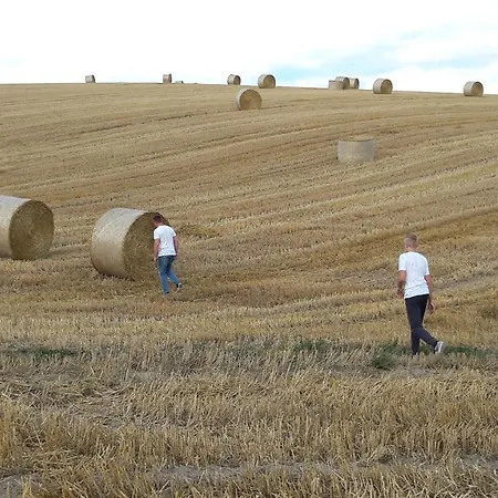 Lena Im Sauerland Direkt Am Hennesee