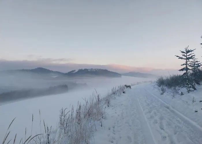 Lena Im Sauerland Direkt Am Hennesee بيت للعطل *